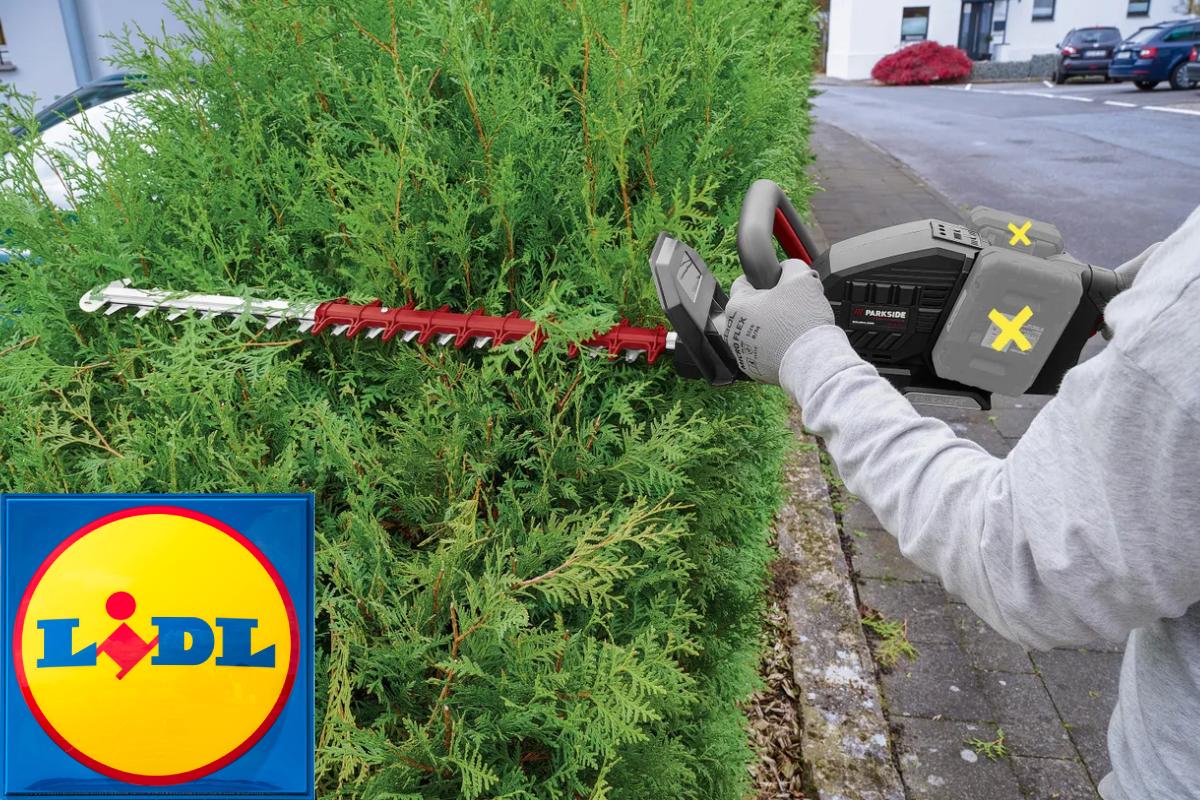 Il taglia erba Parkside ricaricabile da Lidl a