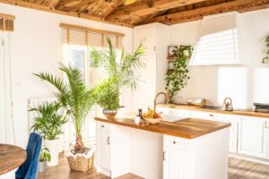Riedi naturalo anti umidità in cucina