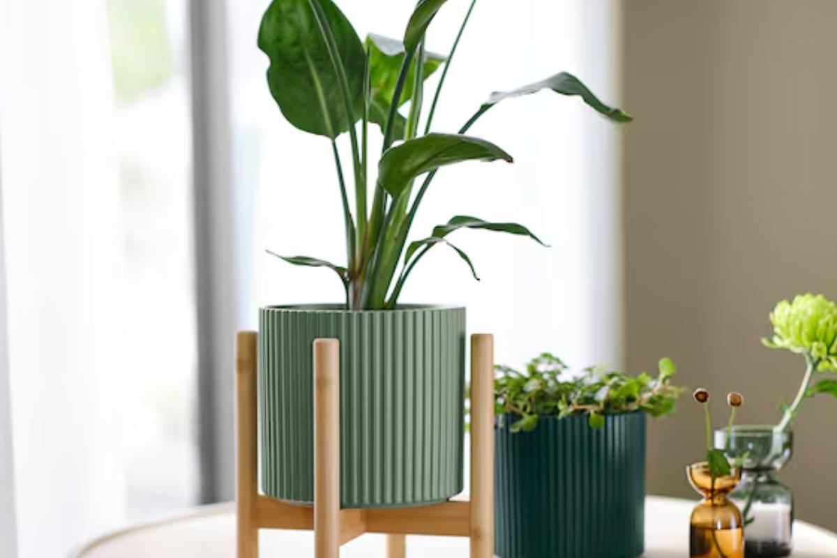 Il 2025 e le fioriere Ikea