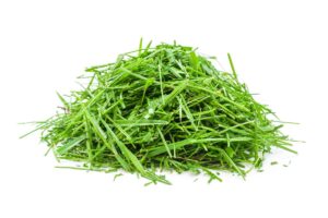Erba tagliata che diventa concime