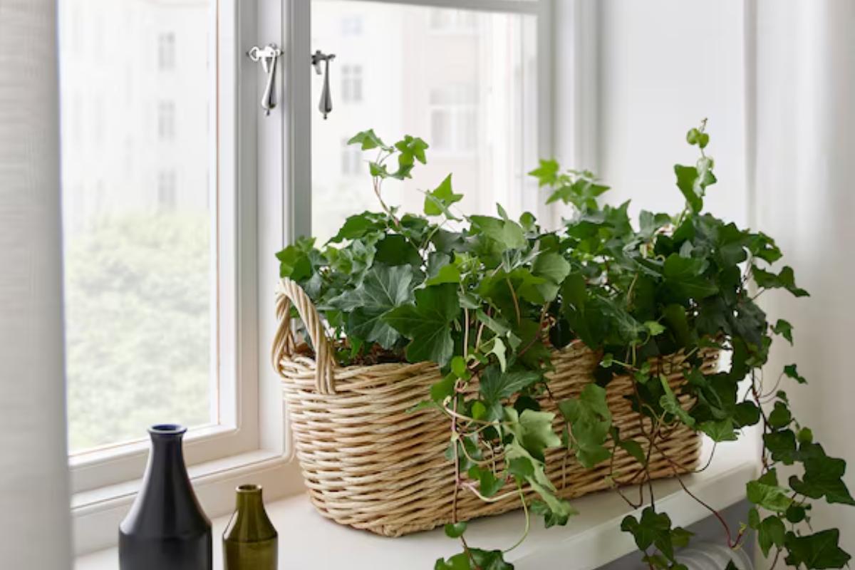Ikea fioriere