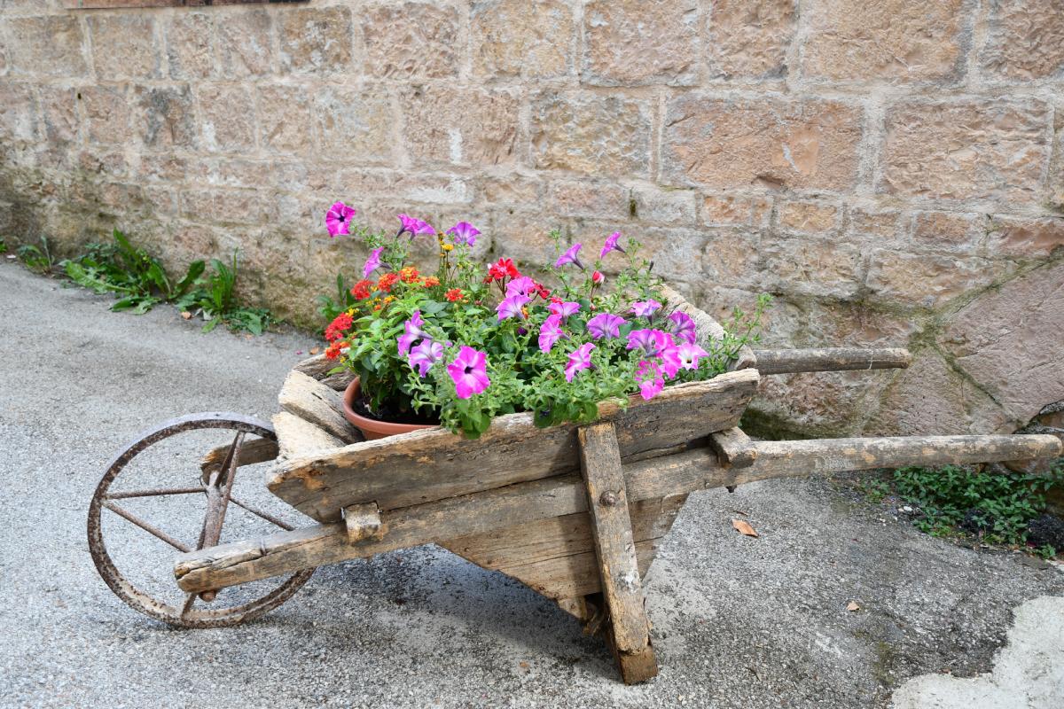 Idee creative per aiuole da sogno