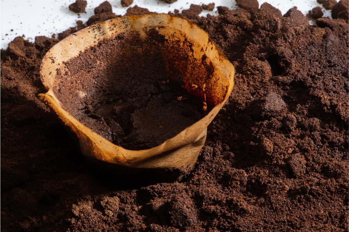 I concimi naturali per le pinate