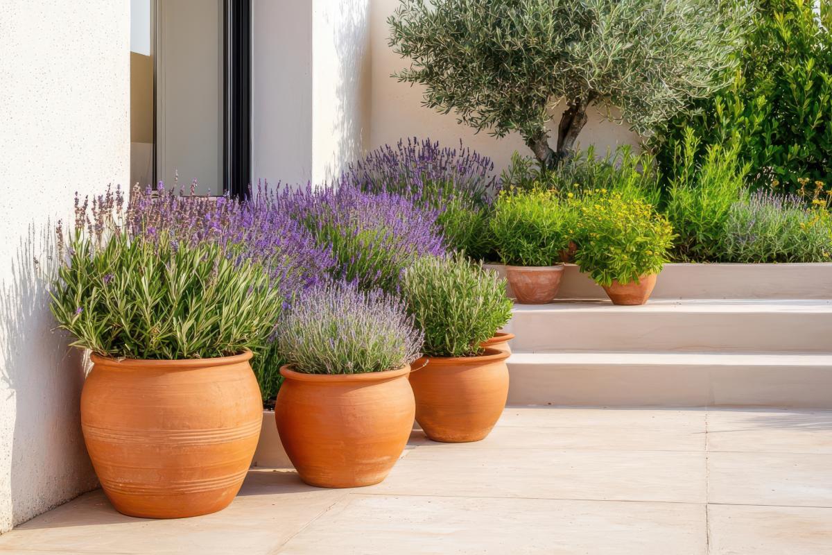Abbinamenti di piante e fiori