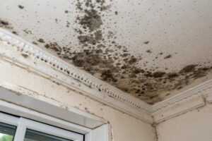 Come eliminare la muffa sul soffitto