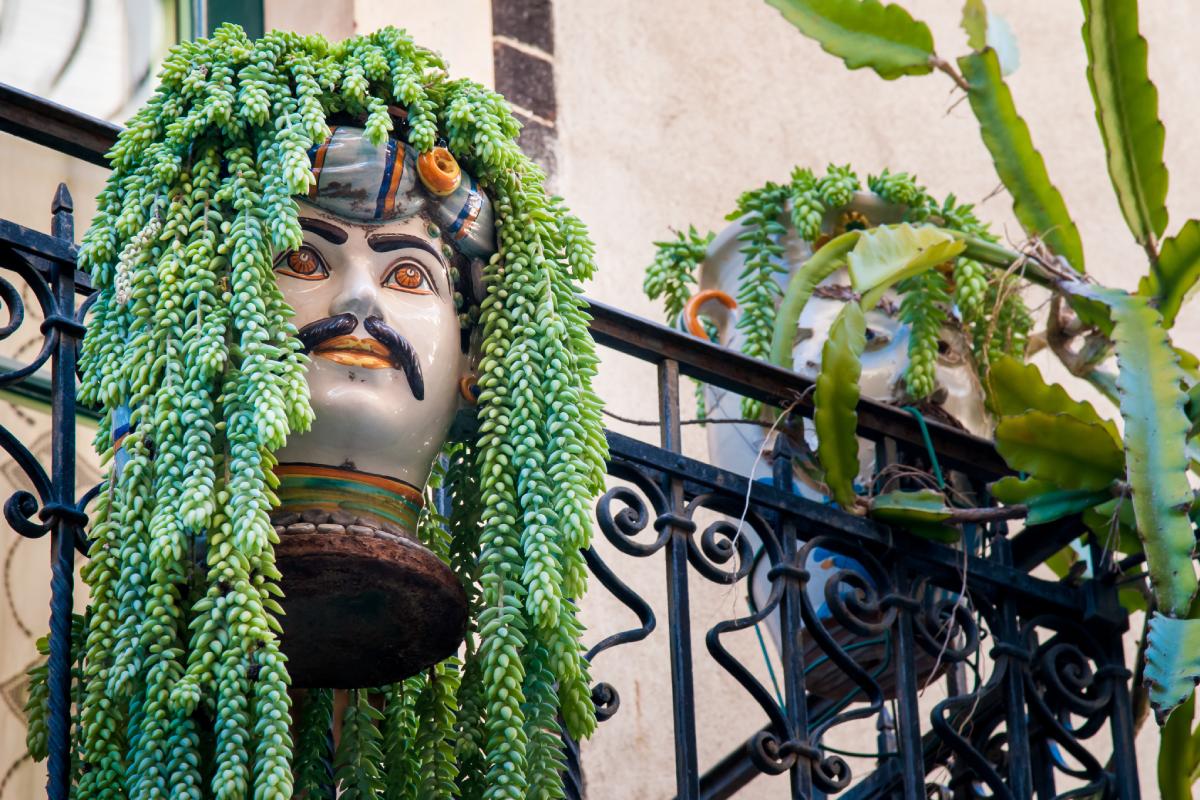 Sedum: scenografico e bello