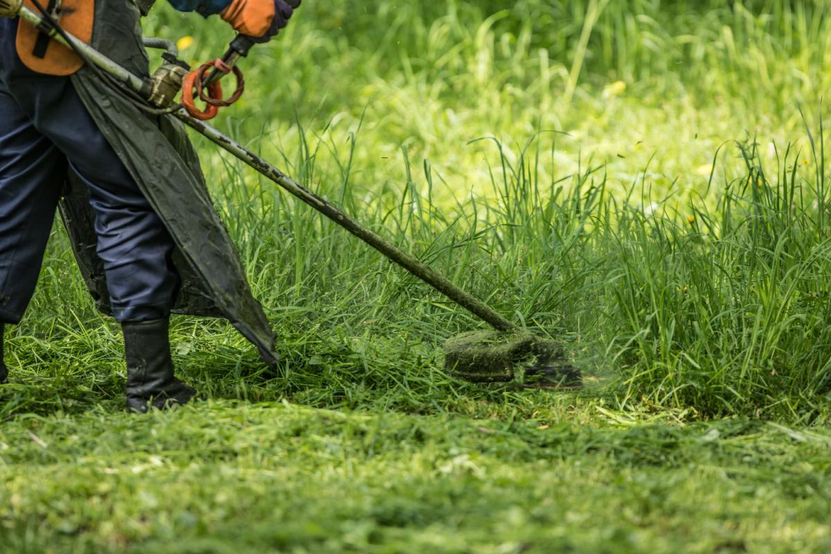 Il concime per il giardino fatto con l'erba tagliata