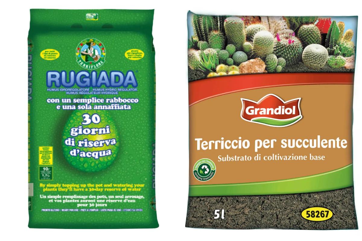Lidl e le nuove proposte verdi della settimana 