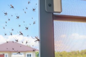 Proteggere il balcone dalle zanzazre