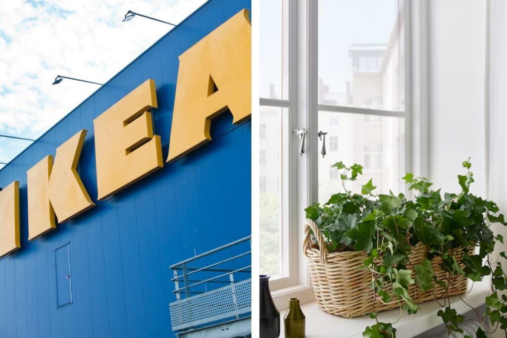 Le più belle fioriere Ikea del 2025