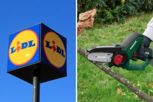 mini motosega parkside lidl
