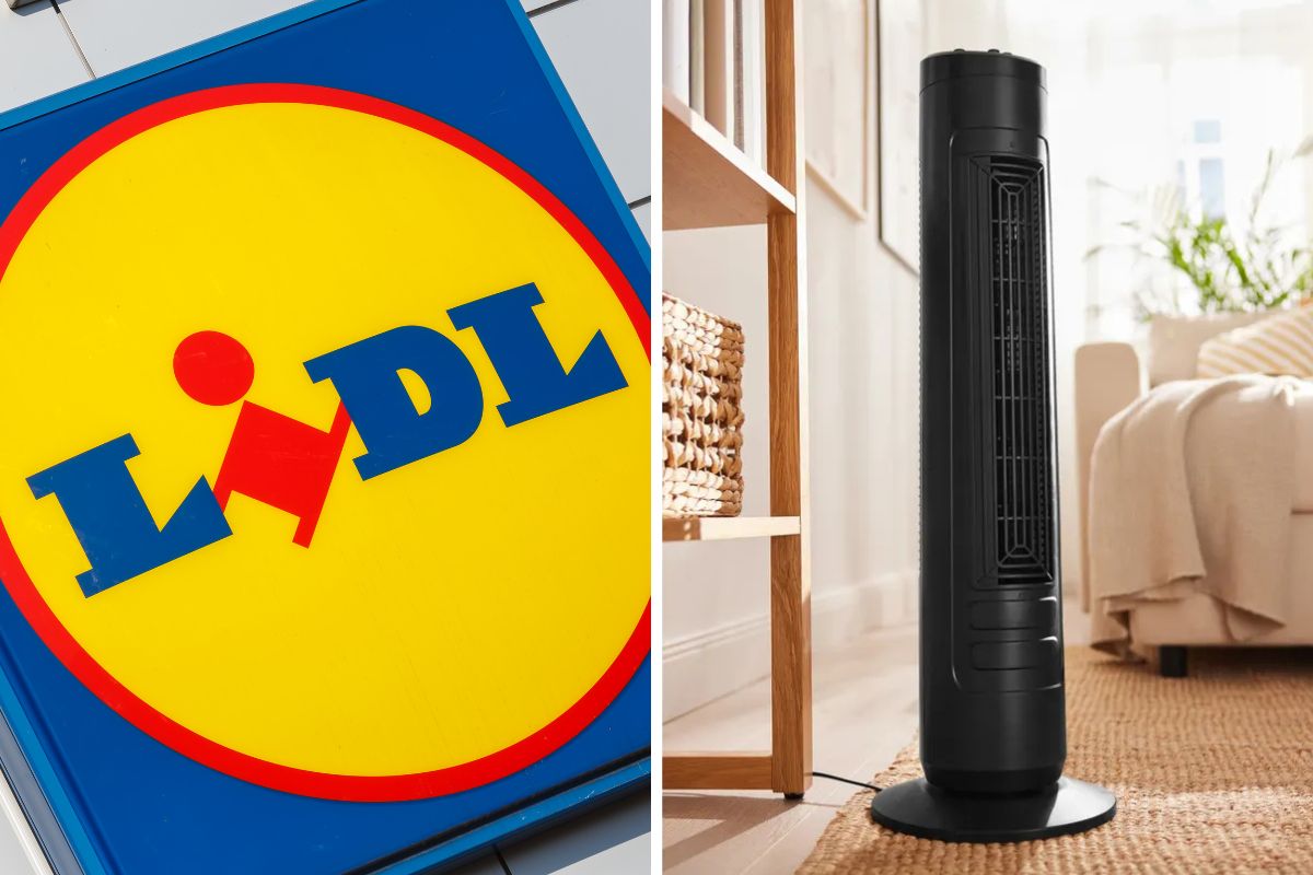 lidl ventilatore a torre