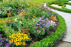 Quali fiori piantare nelle aiuole a giugno