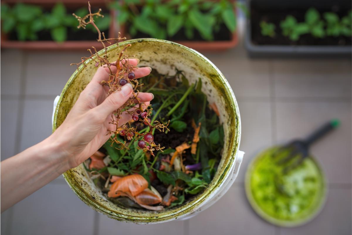 Il compost si può fare anche in balcone