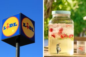 Il dispenser Lidl
