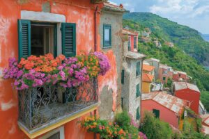 Come coltivare i gerani per farli durare a lungo