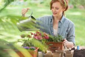 Innaffiare le radici dei fiori con l'acqua di riso