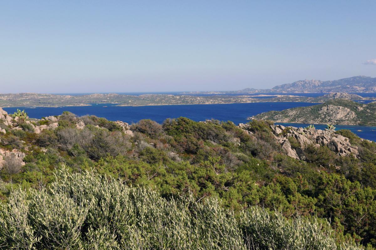 Caprera e le sue bellezze: Cala Coticcio