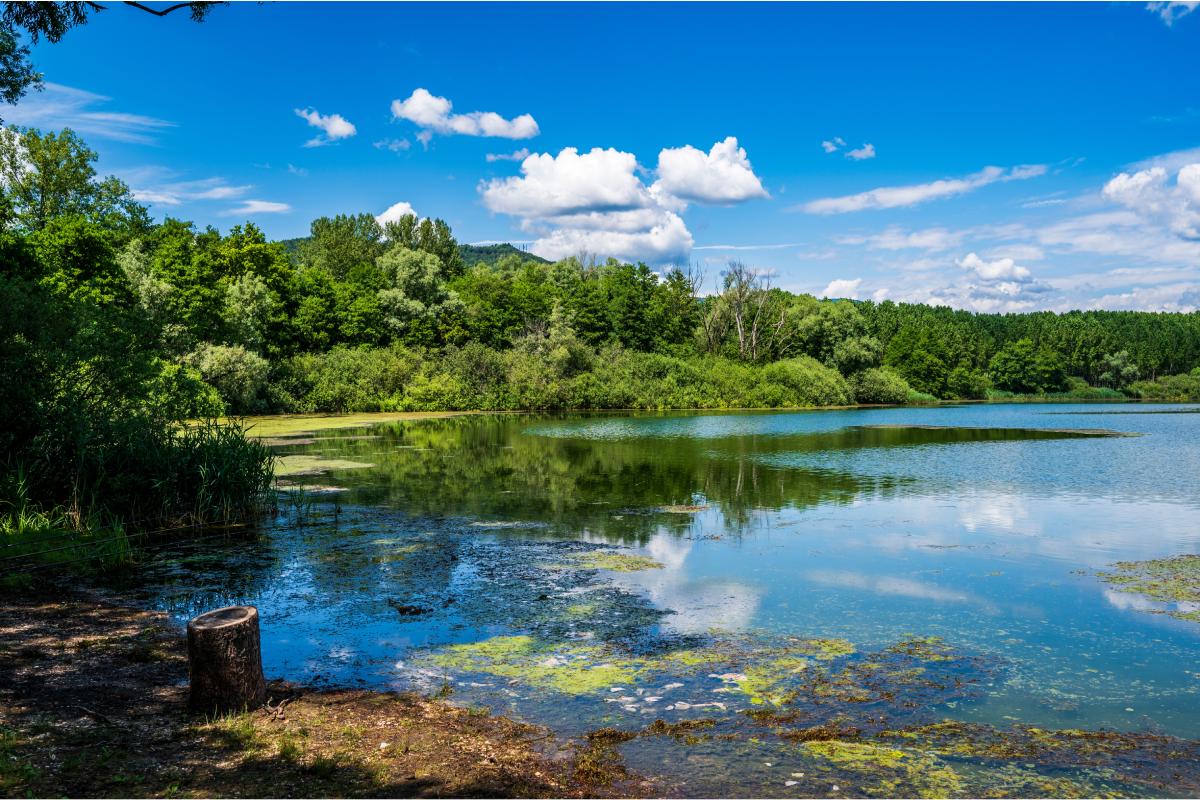 I laghi del Friuli