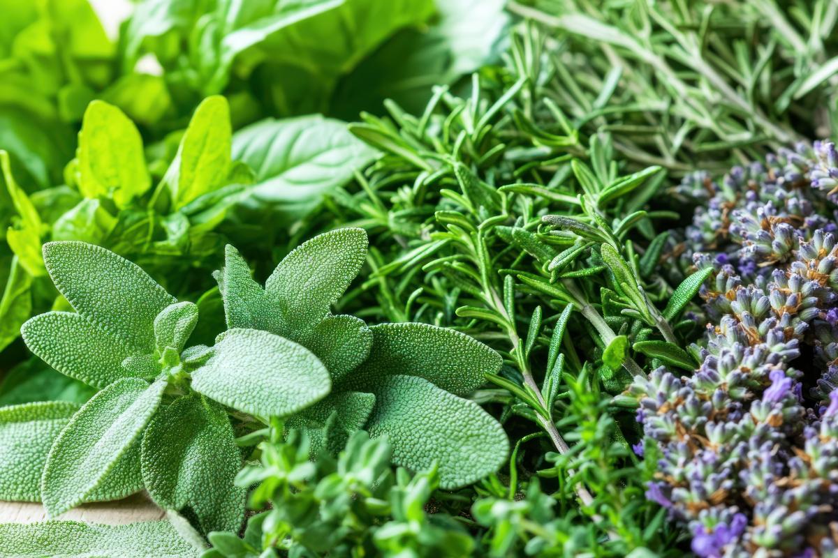 La combo lavanda e rosmarino in balcone