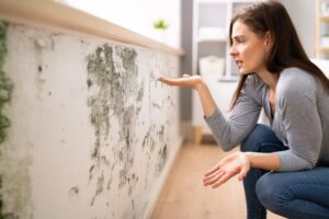 Come eliminare la puzza di muffa in casa