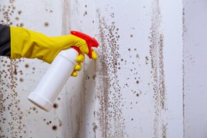 Spray naturale anti muffa