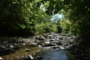 I 5 torrenti più belli in Toscana