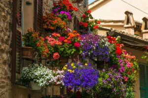 Balcone fiorito con vasi sospesi