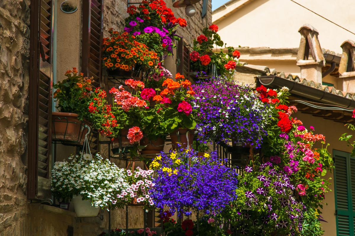 Balcone fiorito con vasi sospesi
