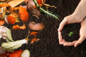 Concimi naturali per piante e ortaggi