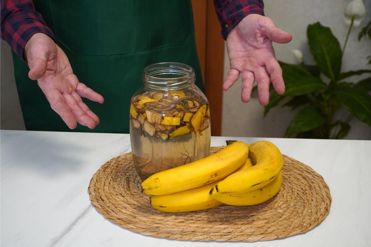 Come fare il concime con le bucce della frutta