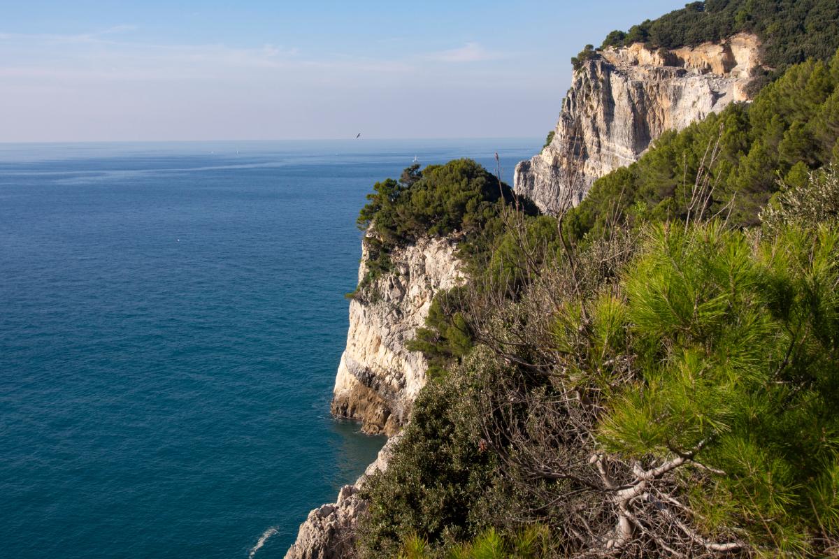 L'isola da scoprire in agosto: Palmaria
