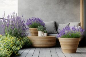 Un terrazzo mediterraneo con 3 piante ad hoc sogno