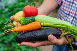 Cosa raccogliere a luglio e come rigenerare il terreno