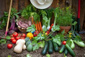 Ecco le verdure che resistono al caldo