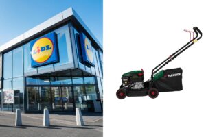 Il tosaerba Lidl che aspettavi è arrivato: PARKSIDE a benzina, un vero affare