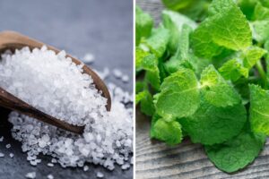 barattolo sale&menta per profumare il bagno