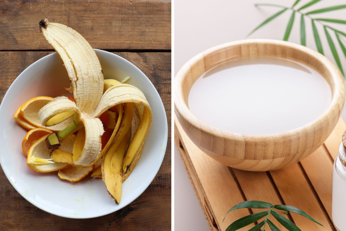 acqua di riso e banana per le fioriture