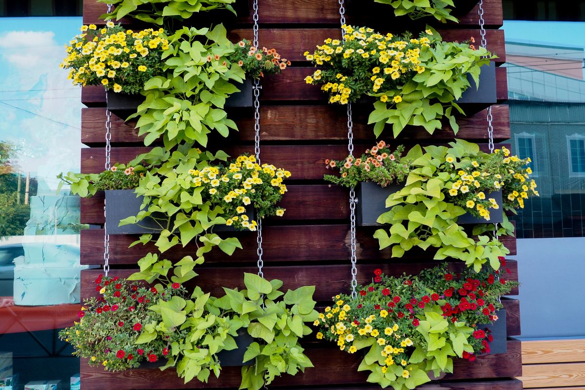 orto verticale con pallet su balconi piccolissimi