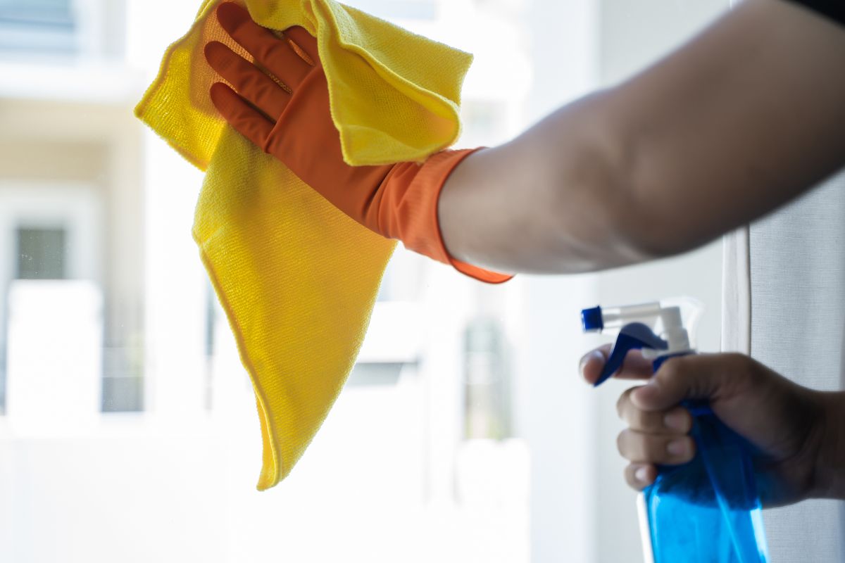 detergente naturale vetri senza aloni formula 2-2-1