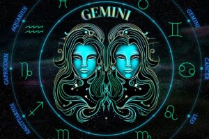 gemelli e la capacità di adattamento