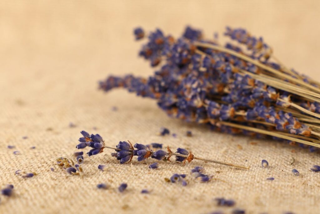 Parete profumata con legno, lavanda e corda