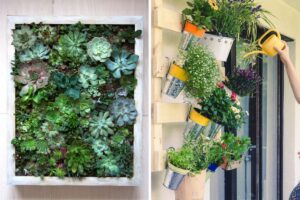 orto verticale su balcone