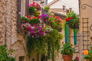 I fiori che colorano il balcone a settembre