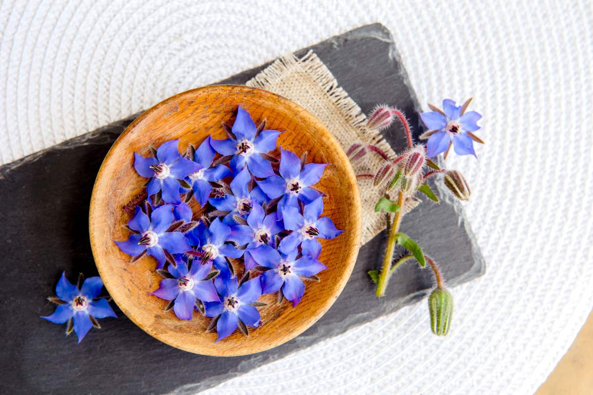 Le erbe da fiore che aggiungono sapore e colore ai piatti