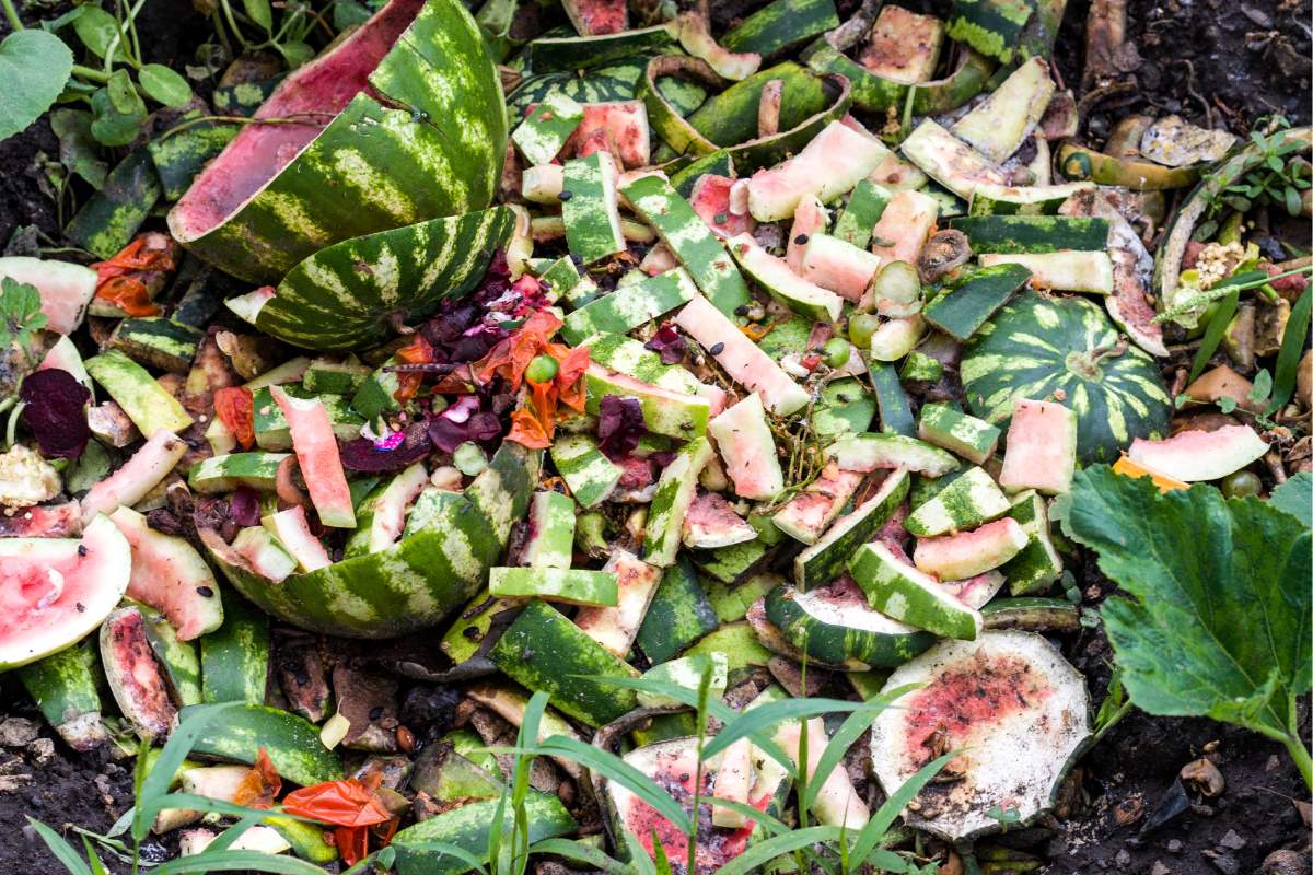 Concimi fai da te con le bucce della frutta