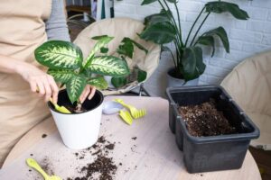 Rinvasare lentamente: ecco i benefici