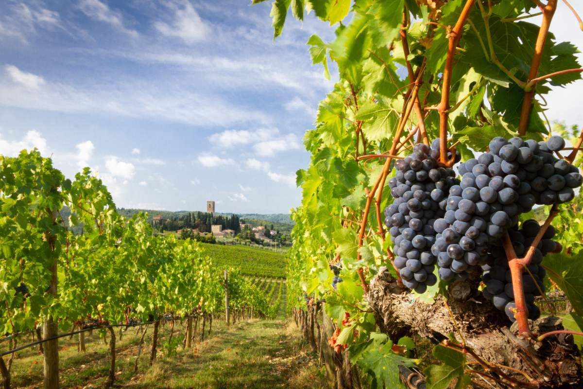 Vacanze rilassanti di settembre in Italia