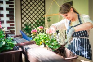 Come rigenerare le piante stanche sul balcone