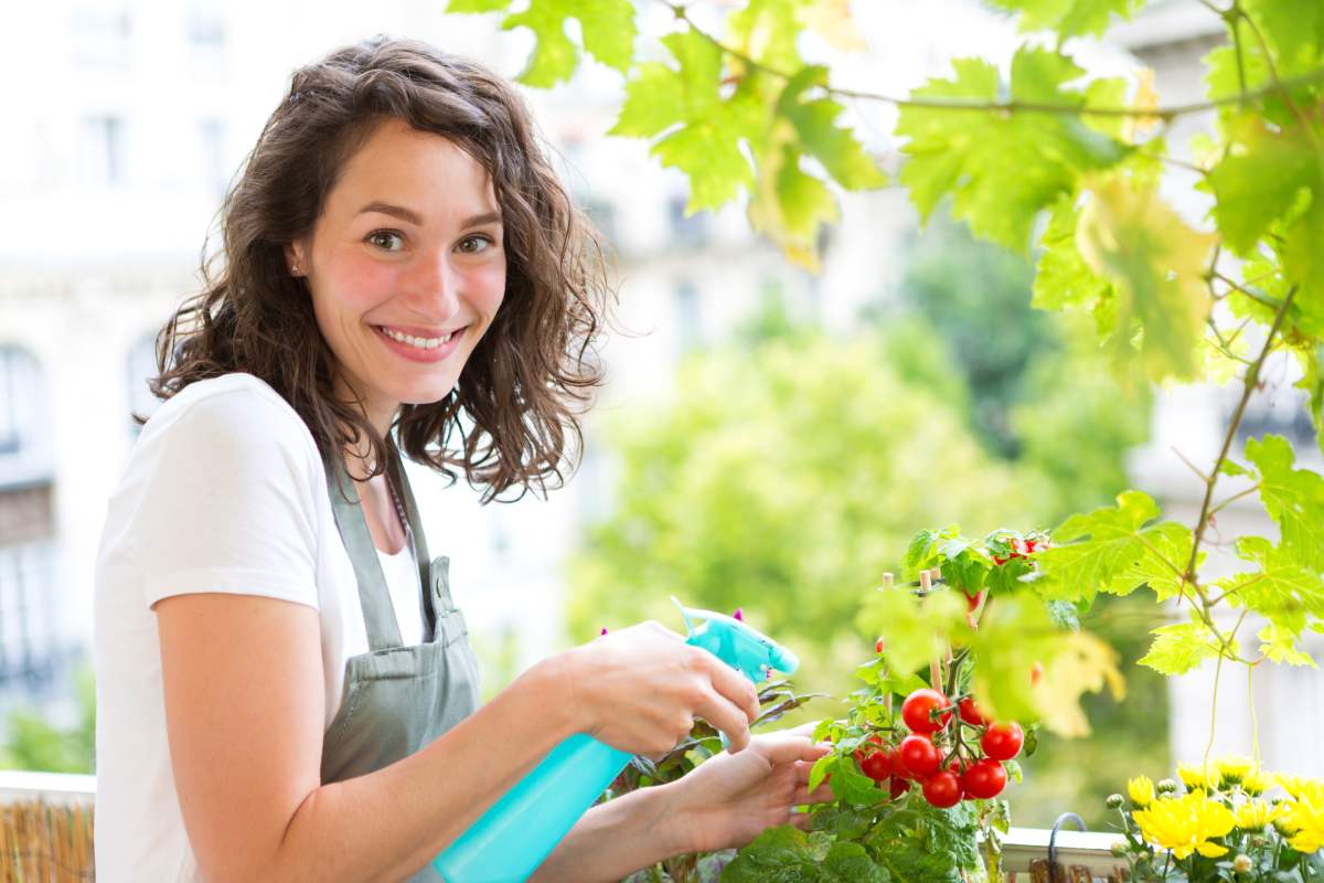Coltivare pomodori in balcone: ecco il trucco per averli abbondanti